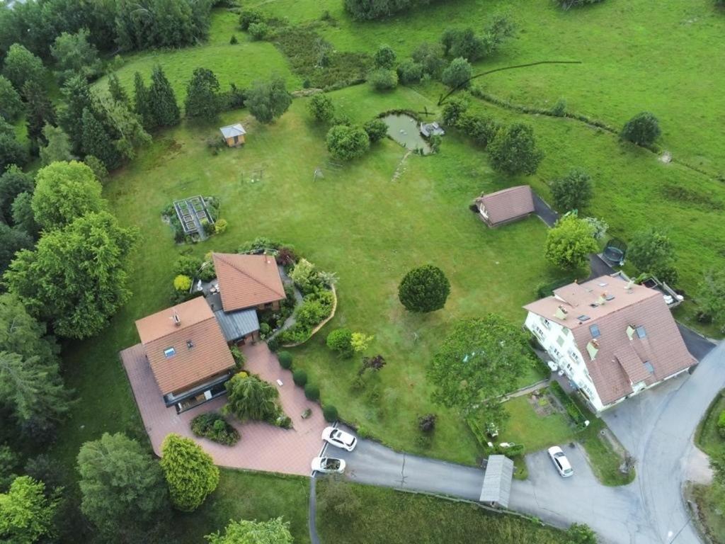 ※ Residence Pomme De Pin - Terrasse - Nature ※ Xonrupt-Longemer Exteriér fotografie